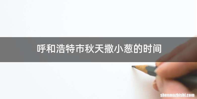 呼和浩特市秋天撒小葱的时间