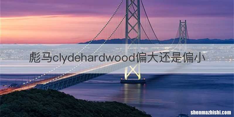 彪马clydehardwood偏大还是偏小