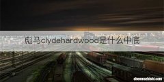 彪马clydehardwood是什么中底