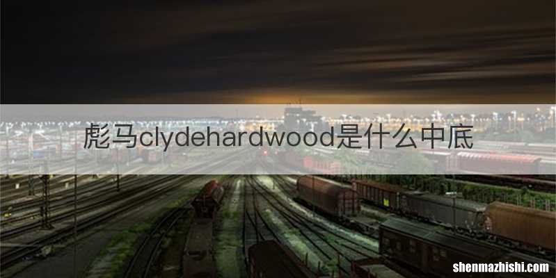彪马clydehardwood是什么中底