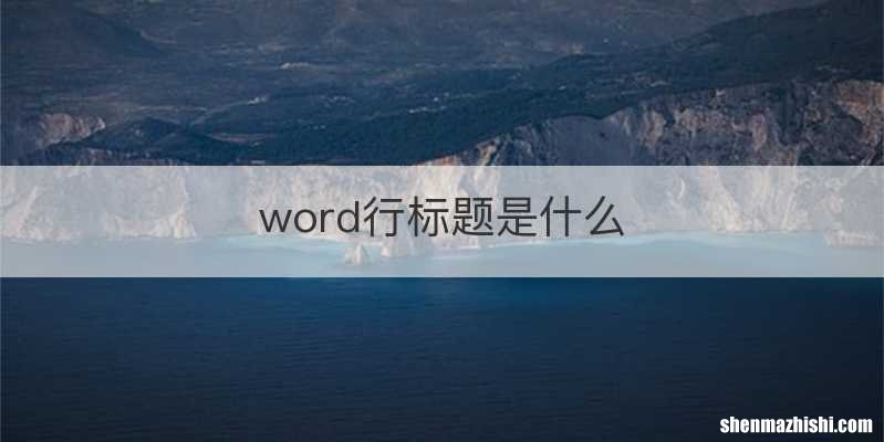 word行标题是什么