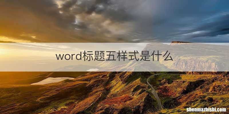 word标题五样式是什么