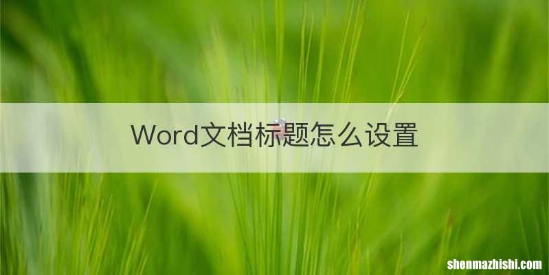 Word文档标题怎么设置
