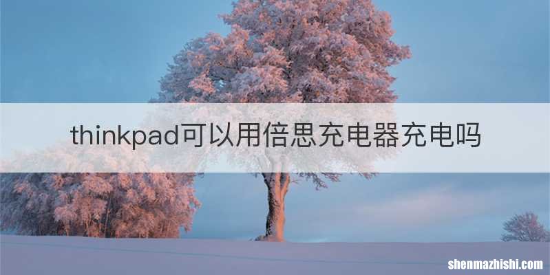 thinkpad可以用倍思充电器充电吗