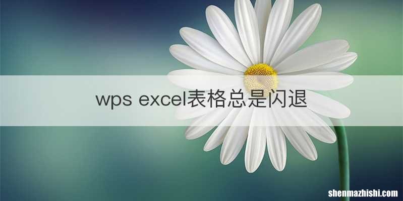 wps excel表格总是闪退