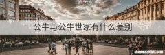 公牛与公牛世家有什么差别