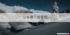 公牛哪个国家的