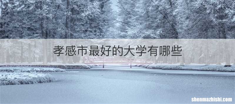 孝感市最好的大学有哪些