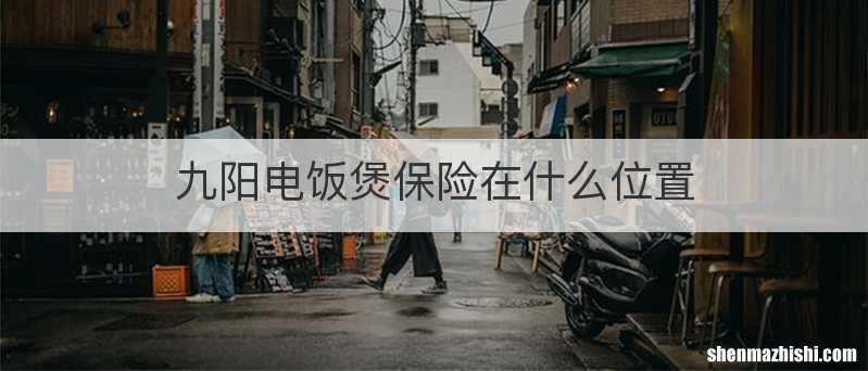 九阳电饭煲保险在什么位置