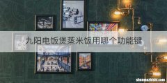 九阳电饭煲蒸米饭用哪个功能键