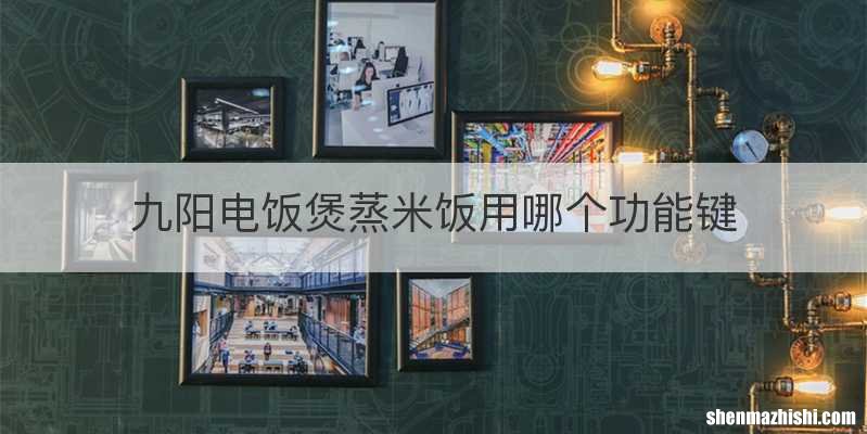 九阳电饭煲蒸米饭用哪个功能键