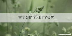 言字旁的字和月字旁的