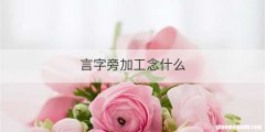 言字旁加工念什么