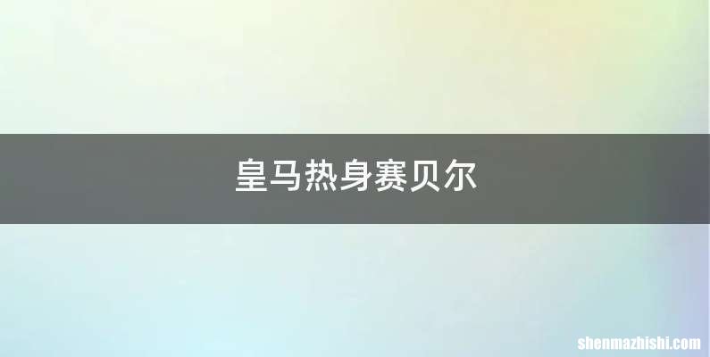 皇马热身赛贝尔