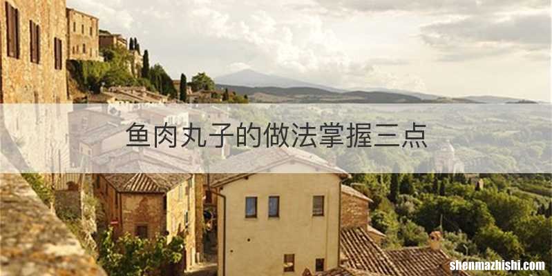 鱼肉丸子的做法掌握三点