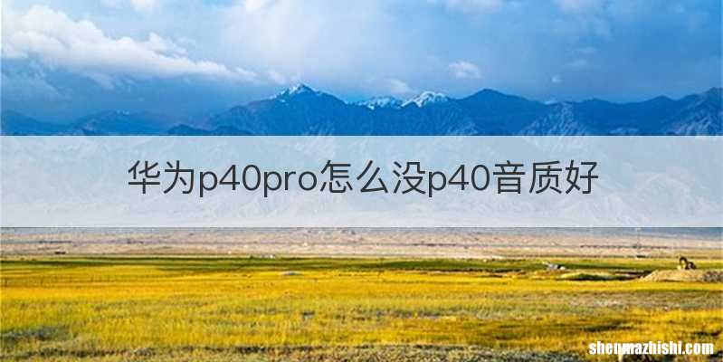 华为p40pro怎么没p40音质好
