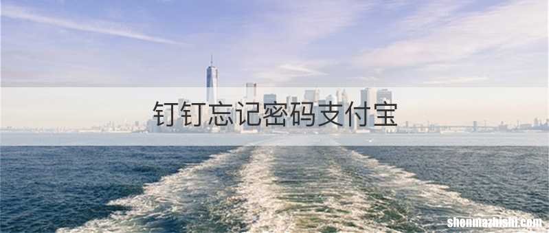 钉钉忘记密码支付宝