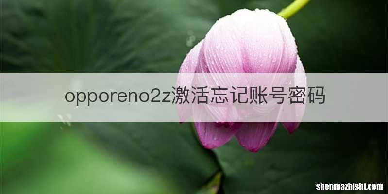 opporeno2z激活忘记账号密码