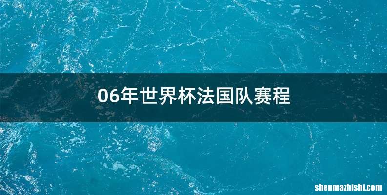 06年世界杯法国队赛程