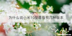 为什么说小米10至尊版有几种版本