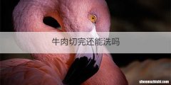 牛肉切完还能洗吗