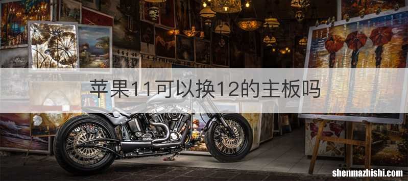 苹果11可以换12的主板吗