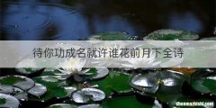 待你功成名就许谁花前月下全诗