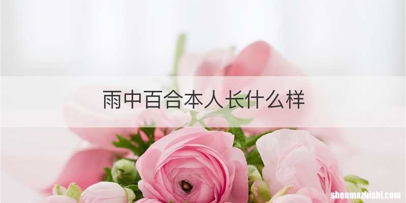 雨中百合本人长什么样