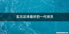 实况足球最好的一代球员
