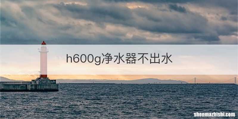 h600g净水器不出水