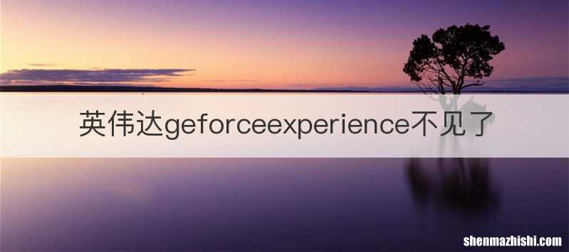 英伟达geforceexperience不见了