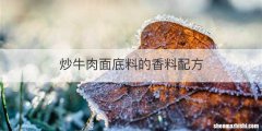 炒牛肉面底料的香料配方