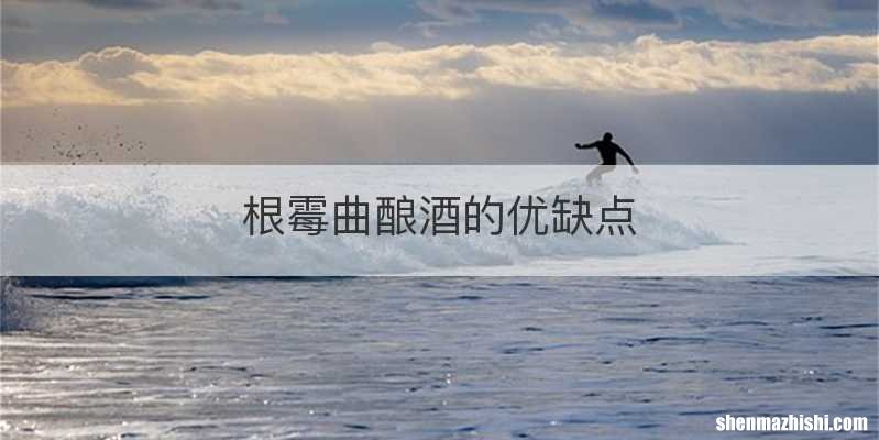 根霉曲酿酒的优缺点