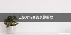 巴黎对马赛的录像回放
