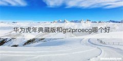华为虎年典藏版和gt2proecg哪个好