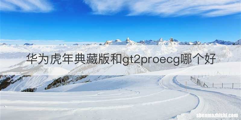 华为虎年典藏版和gt2proecg哪个好