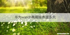 华为watch典藏版表盘多大