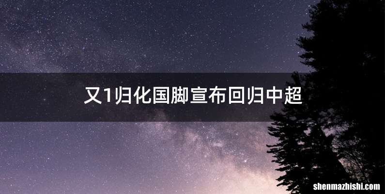 又1归化国脚宣布回归中超