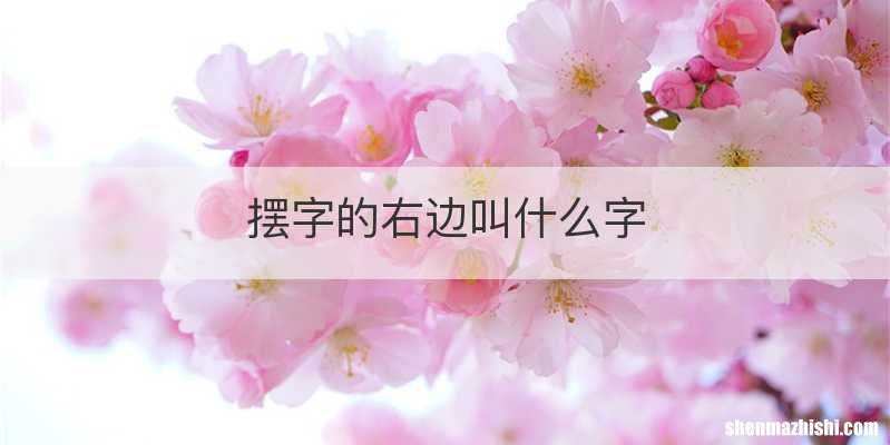 摆字的右边叫什么字