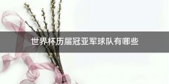 世界杯历届冠亚军球队有哪些