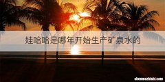 娃哈哈是哪年开始生产矿泉水的