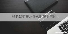 娃哈哈矿泉水什么时候上市的