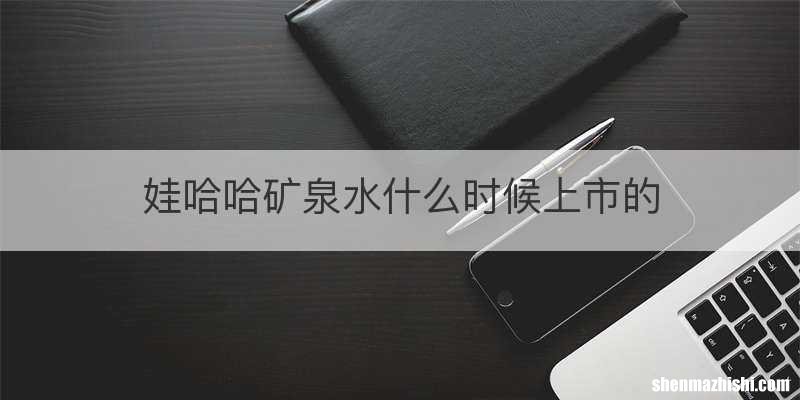 娃哈哈矿泉水什么时候上市的