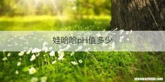娃哈哈pH值多少