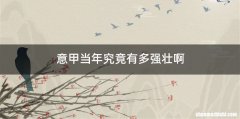 意甲当年究竟有多强壮啊