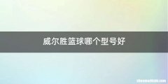 威尔胜篮球哪个型号好