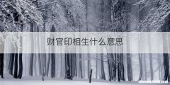 财官印相生什么意思