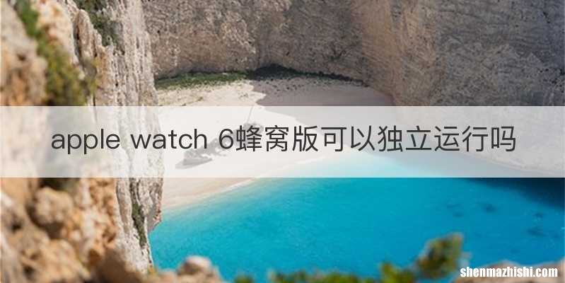 apple watch 6蜂窝版可以独立运行吗