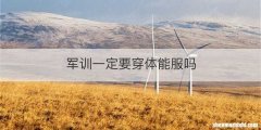 军训一定要穿体能服吗