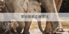 军训服装正确穿法